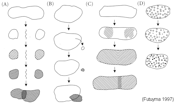 fut_16_01_speciation_models